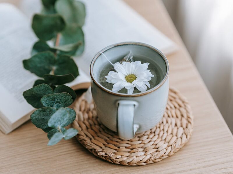 Winterster thee met dennennaalden en eucalyptus